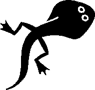 The back legs appear first on tadpoles.  Image from Microsoft clipart.